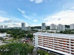Blk 116 Merah Heights (Bukit Merah), HDB 5 Rooms #548246231